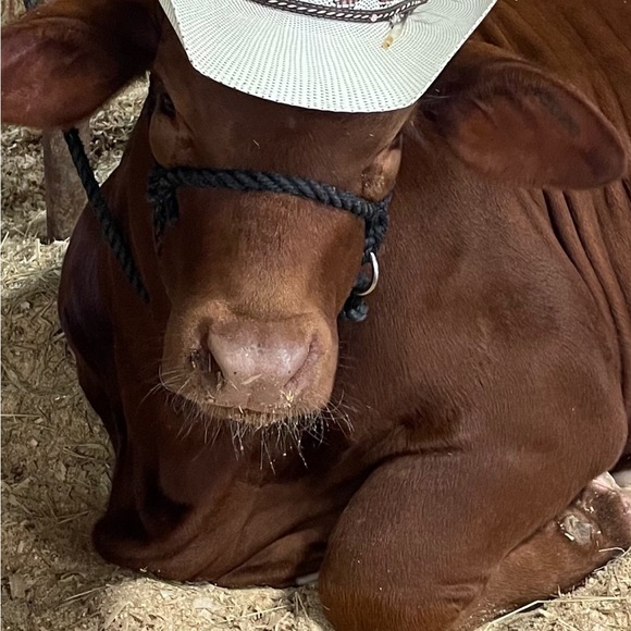 Meet your Posher, Leann - Picture 11 of 11